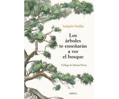 LOS ÁRBOLES TE ENSEÑARÁN A VER EL BOSQUE