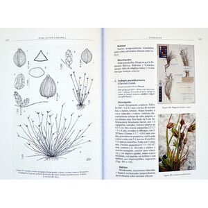 FLORA ACUÁTICA ESPAÑOLA. HELÓFITOS_1