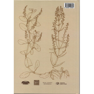 FLORA ACUÁTICA ESPAÑOLA. HELÓFITOS 3