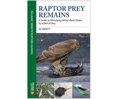 RAPTOR PREY REMAINS. A GUIDE TO IDENTIFYING WHAT'S BEEN EATEN BY A BIRD OF PREY