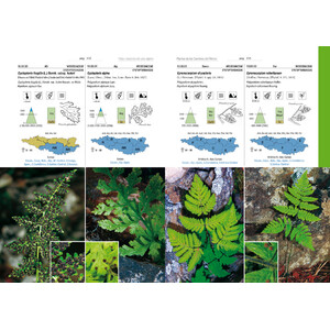 PLANTAS DE LAS CUMBRES DEL PIRINEO. FLORA DEL PISO ALPINO_1