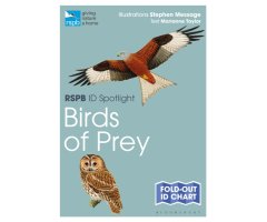 RSPB ID SPOTLIGHT: BIRDS OF PREY