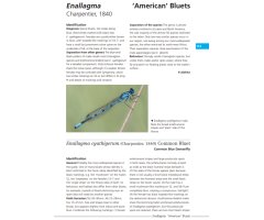 FIELD GUIDE TO THE DRAGONFLIES OF BRITAIN AND EUROPE INCLUDING WESTERN TURKEY AND NORTH-WESTERN AFRICA 2