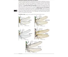 FIELD GUIDE TO THE DRAGONFLIES OF BRITAIN AND EUROPE INCLUDING WESTERN TURKEY AND NORTH-WESTERN AFRICA 4