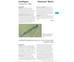 FIELD GUIDE TO THE DRAGONFLIES OF BRITAIN AND EUROPE INCLUDING WESTERN TURKEY AND NORTH-WESTERN AFRICA 2