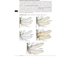 FIELD GUIDE TO THE DRAGONFLIES OF BRITAIN AND EUROPE INCLUDING WESTERN TURKEY AND NORTH-WESTERN AFRICA 4