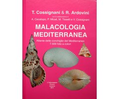 MALACOLOGÍA MEDITERRÁNEA/ ATLAS OF MEDITERRANEAN SEASHELLS/ATLANTE DELLE CONCHIGLIE DEL MEDITERRANEO 