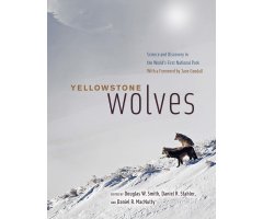 YELLOWSTONE WOLVES