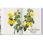 THE BOOK OF FLOWERS 5