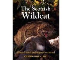 THE SCOTTISH WILDCAT: BRITAIN'S MOST ENDANGERED MAMMAL