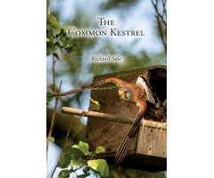 THE COMMON KESTREL