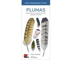 PLUMAS. INTRODUCCIÓN A LAS ESPECIES IBÉRICAS, BALEARES Y CANARIAS. GUÍAS DESPLEGABLES TUNDRA  