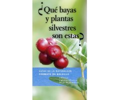 ¿QUÉ BAYAS Y PLANTAS SILVESTRES SON ESTAS?