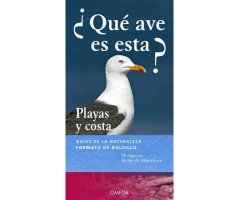 ¿QUÉ AVE ES ESTA? PLAYAS Y COSTAS