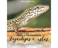 IBIZA Y FORMENTERA. LAGARTIJAS E ISLAS