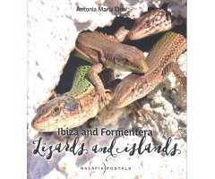 IBIZA AND FORMENTERA. LIZARDS AND ISLANDS