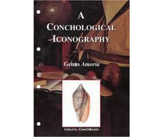 A CONCHOLOGICAL ICONOGRAPHY. GENUS AMORIA
