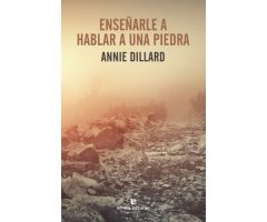 ENSEÑARLE A HABLAR A UNA PIEDRA