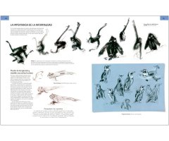 GUÍA DE CAMPO PARA DIBUJAR ANIMALES DEL NATURAL                                                                                                        2