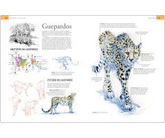 GUÍA DE CAMPO PARA DIBUJAR ANIMALES DEL NATURAL                                                                                                        4