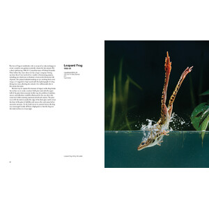 CAPTURING MOTION: MY LIFE IN HIGH SPEED NATURE PHOTOGRAPHY_1