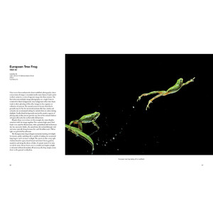 CAPTURING MOTION: MY LIFE IN HIGH SPEED NATURE PHOTOGRAPHY 3