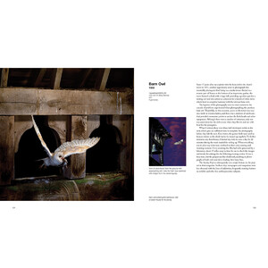 CAPTURING MOTION: MY LIFE IN HIGH SPEED NATURE PHOTOGRAPHY 4