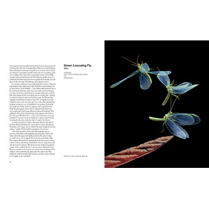 CAPTURING MOTION: MY LIFE IN HIGH SPEED NATURE PHOTOGRAPHY 6