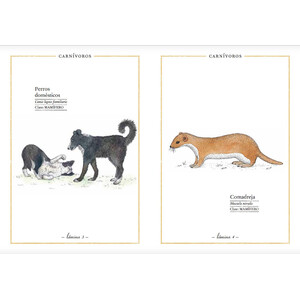 BELLEZAS DE LA NATURALEZA_1