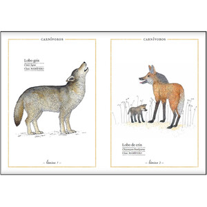 BELLEZAS DE LA NATURALEZA 3