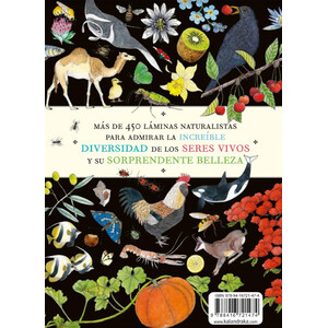 BELLEZAS DE LA NATURALEZA 4