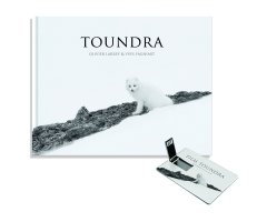 TOUNDRA