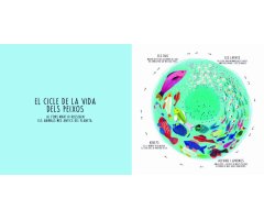 INFINIT. ELS CICLES MÀGICS DE L\'UNIVERS 2