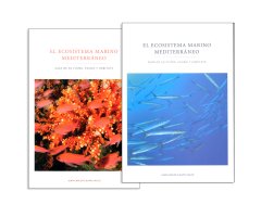 EL ECOSISTEMA MARINO MEDITERRÁNEO. GUÍA DE SU FLORA, FAUNA Y HÁBITATS