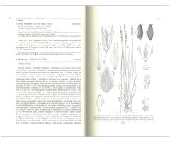 FLORA IBÉRICA. VOL. XIX GRAMINEAE (PARTIM 1) 3