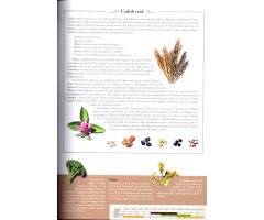 L'HORT BIOLÒGIC. COM CONSTRUIR I GAUDIR D'UN ECOSISTEMA PLE DE VIDA 3