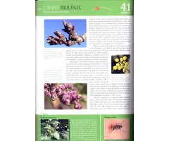L'HORT BIOLÒGIC. COM CONSTRUIR I GAUDIR D'UN ECOSISTEMA PLE DE VIDA 4