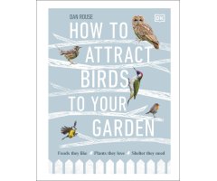HOW TO ATTRACT BIRDS TO YOUR GARDEN: FOOD THEY LIKE, PLANTS THEY LOVE, SHELTER THEY NEED