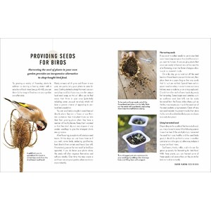 HOW TO ATTRACT BIRDS TO YOUR GARDEN: FOOD THEY LIKE, PLANTS THEY LOVE, SHELTER THEY NEED 5