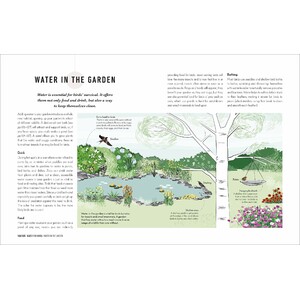 HOW TO ATTRACT BIRDS TO YOUR GARDEN: FOOD THEY LIKE, PLANTS THEY LOVE, SHELTER THEY NEED 6