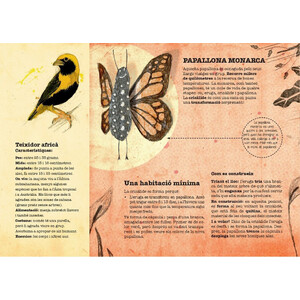 CASTOR CONSTRUCTOR I ALTRES ANIMALS ARQUITECTES_1