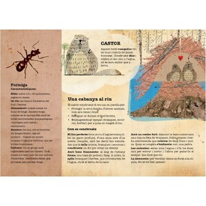 CASTOR CONSTRUCTOR I ALTRES ANIMALS ARQUITECTES 3