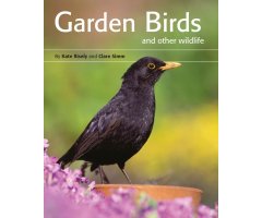 GARDEN BIRDS AND OTHER WILDLIFE