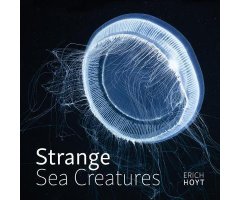 STRANGE SEA CREATURES
