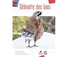 LA GÉLINOTTE DES BOIS