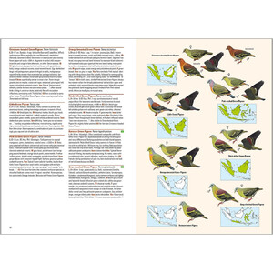 BIRDS OF THE INDONESIAN ARCHIPELAGO GREATER SUNDAS AND WALLACEA_1