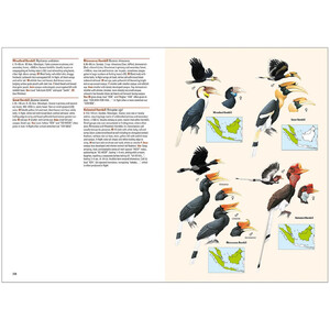 BIRDS OF THE INDONESIAN ARCHIPELAGO GREATER SUNDAS AND WALLACEA 3