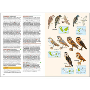 BIRDS OF THE INDONESIAN ARCHIPELAGO GREATER SUNDAS AND WALLACEA 4
