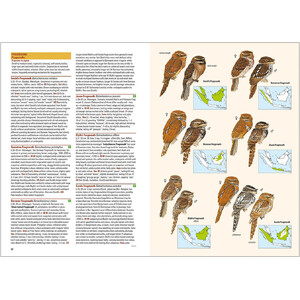 BIRDS OF THE INDONESIAN ARCHIPELAGO GREATER SUNDAS AND WALLACEA 5