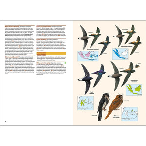 BIRDS OF THE INDONESIAN ARCHIPELAGO GREATER SUNDAS AND WALLACEA 6